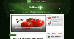 Desktop Screenshot of berbinarbinar.com