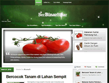 Tablet Screenshot of berbinarbinar.com